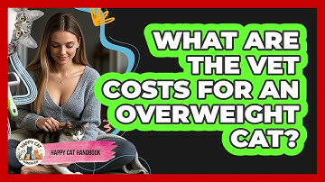 What Are The Vet Costs For An Overweight Cat? - Happy Cat Handbook