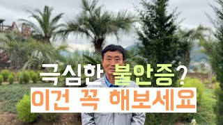 극심한 불안증? 이건 꼭 해보세요 ㅣ#불안증 #우울증 #우울증해소 #불안완화 #불안해소 #공황발작
