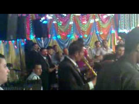 الموسيقار محمدحمود مولد 2010 Flv 