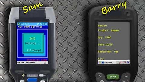 Georgia SoftWorks Telnet Server for Windows and SSH2 - Featuring: Team Services Swap