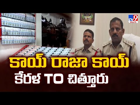 కాయ్‌ రాజా కాయ్‌ కేరళ To చిత్తూరు - TV9 - TV9