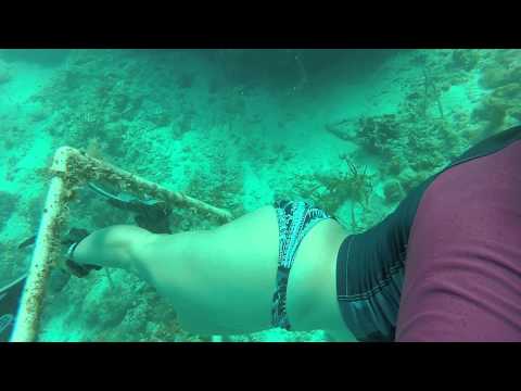 Free diving through