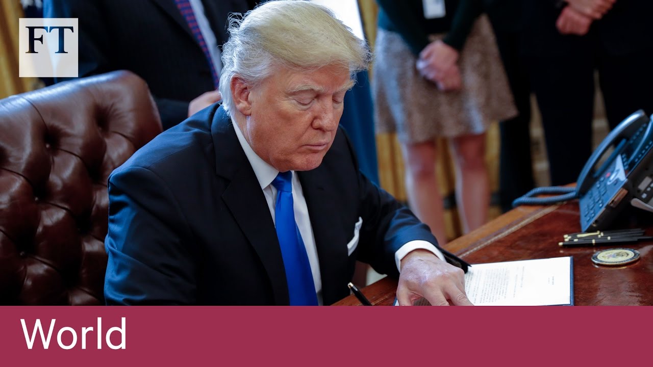 Film backdrop image for Trump to order Mexican wall (2017)