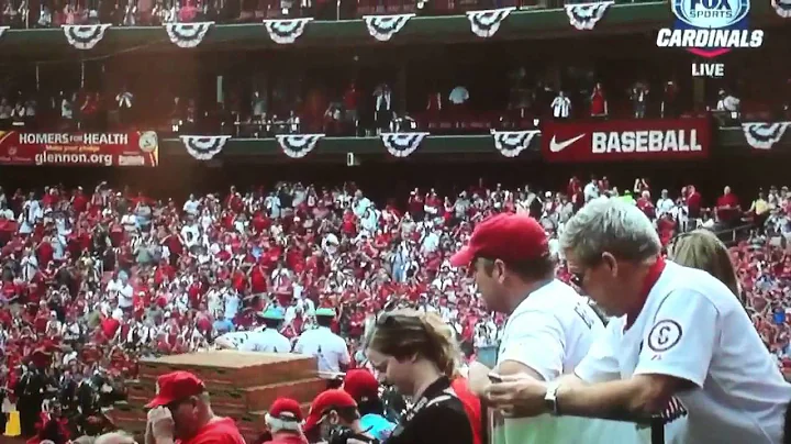 Budweiser Clydesdales