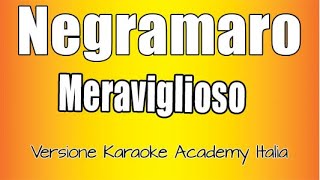 Negramaro -  Meraviglioso (Versione Karaoke Academy Italia) chords