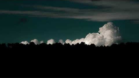 تلاوه هادئة تُريح القلوب _ عز العوامي