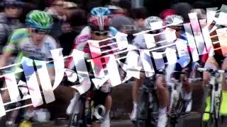 2016 Jプロツアー開幕戦 第3回JBCF宇都宮クリテリウム開催