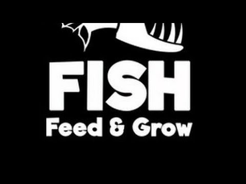 #1 Feed and grow fish android Download apk Mới Nhất