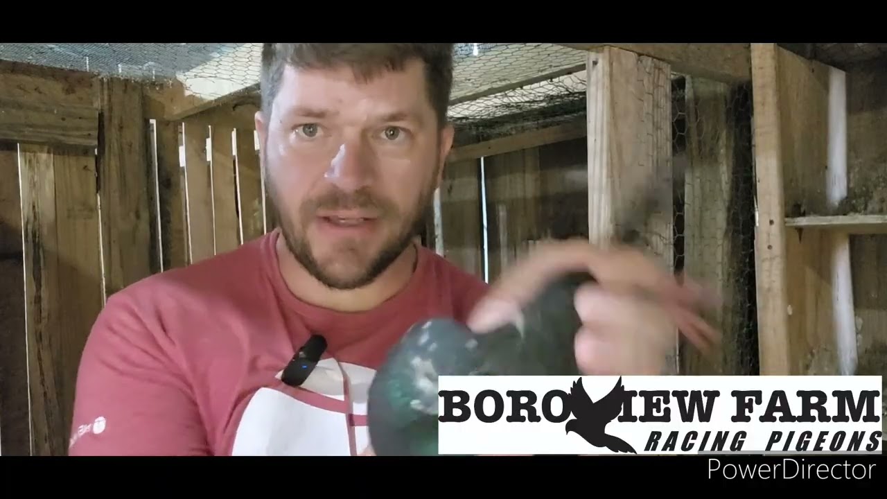 #3 Road Training - Three miles