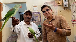 Ustaad Ishaq Bhai Parrot & Birds Setup Tour | PBI Official