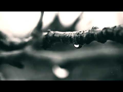 اغنية تخلى ايها القلب بصوت الممثل تولغا ساريتش 