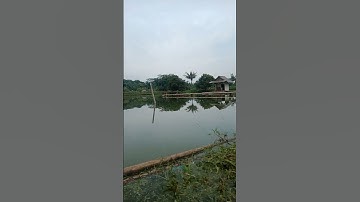 القرآن سورة القارعة عبدالرحمن السديس