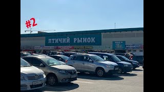ПТИЧИЙ РЫНОК САДОВОД МОСКВА (СЕНТЯБРЬ - ОКТЯБРЬ 2019). РЫБКИ, РАСТЕНИЯ, КОРЯГИ, КОРМА (ОСЕНЬ 2019)#2 ПТИЧИЙ РЫНОК САДОВОД МОСКВА (СЕНТЯБРЬ - ОКТЯБРЬ 2019). РЫБКИ, РАСТЕНИЯ, КОРЯГИ, КОРМА (ОСЕНЬ 2019)#2