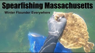 Spearfishing Winter Flounder In Massachusetts