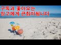live 망고의 체험배달의현장~엄지와의전쟁#맞즐#맞팬#맞추#맞방#게임#배달#music#맞팔#kpop#shorts#음악#구독