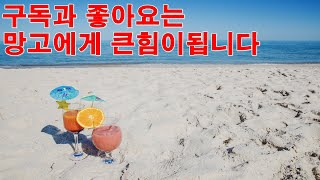 live 망고의 체험배달의현장~엄지와의전쟁#맞즐#맞팬#맞추#맞방#게임#배달#music#맞팔#kpop#shorts#음악#구독