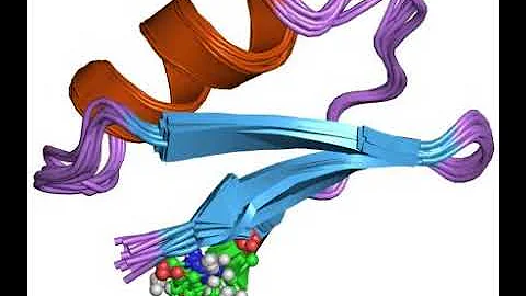 Charybdotoxin | Wikipedia audio article