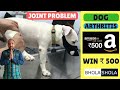 Pet Care - Joint | Pain | Problem Dog | Puppy Arthritis - Bhola Shola | Harwinder Singh Grewal