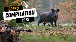 COMPILATION Wild Boar, Roe Deer & Foxes Successes AND Failures