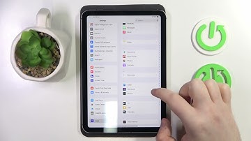 How to Change Search Engine on APPLE iPad Mini (2024)