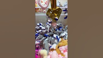 Claw Machine Master Win!