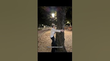 ever been jealous of a tree? yes. | #jungwon #enhypen #weverse #kpop #trending #engene #shorts #fyp