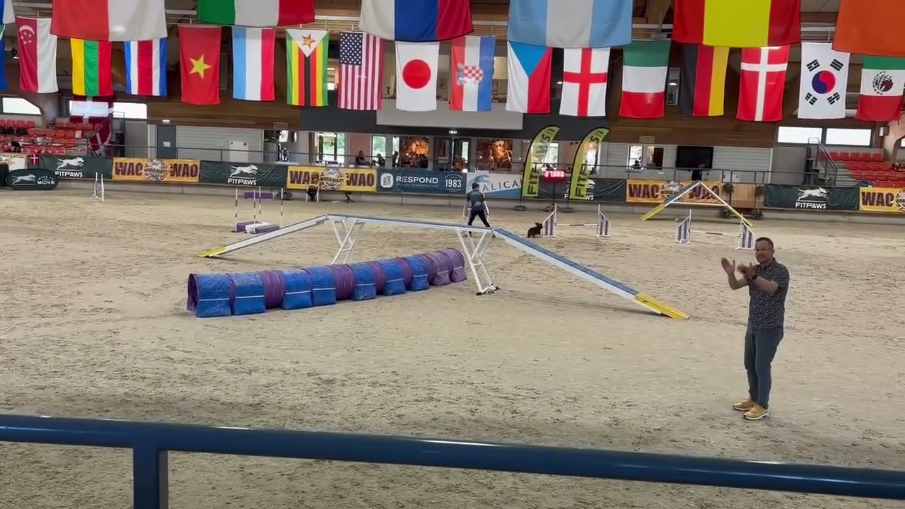 Will & Brave - WAO 2025 Pentathlon Agility 1 - E (willbacchus.com)