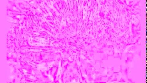 FLASH WARNING flash strobe warning [EPILEPSY WARNING] VTS_01_1.VOB *Photosensitivity Warning*