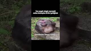 Osu- Oturmak İçin Güzel Mekan Bulmuşsundur Ama...