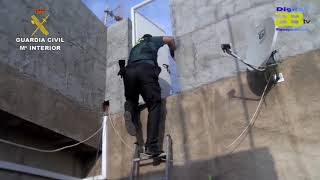 Incautadas 15.800 Plantas De Marihuana En Una Macrooperación Contra El Tráfico De Droga