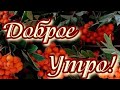 Пусть утро будет прекрасным...Доброе утро🍂🍂🍂😊