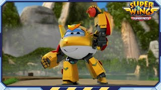 [SUPERWINGS5 HL] The Rain Dragon and more | Superwings | Highlight S5 EP37~40