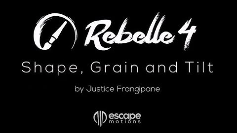 Rebelle 4 Brush Creator - Four Shapes and Grains, Rotation Settings