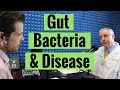 Gut Bacteria and Chronic Disease | The Exam Room Podcast