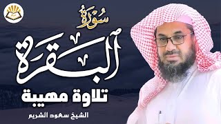 :  "   |          surah baqarah saud shuraim