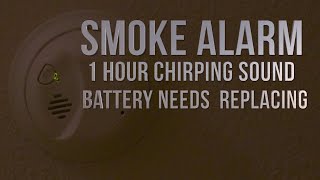 Smoke Alarm Battery Needs Replacing Low Battery 1 Hour Annoying Chirping Sound