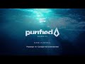 Nora En Pure - Purified Radio Episode 253