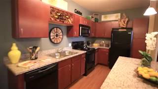 Virtual Tour 2-Bedroom Apartment - Enclave at 127th Apartments