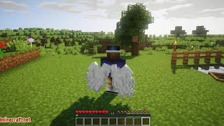 Minecraft wings mod for Android screenshot 1