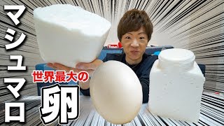 平成最後に世界最大のダチョウの卵で特大マシュマロ作ります！！
