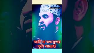 জানি না কত সুন্দর তুমি আল্লাহ।মিজানুর রহমান আজহারী।mizanur_rahman_azhari whatsappstatus wazmahfil