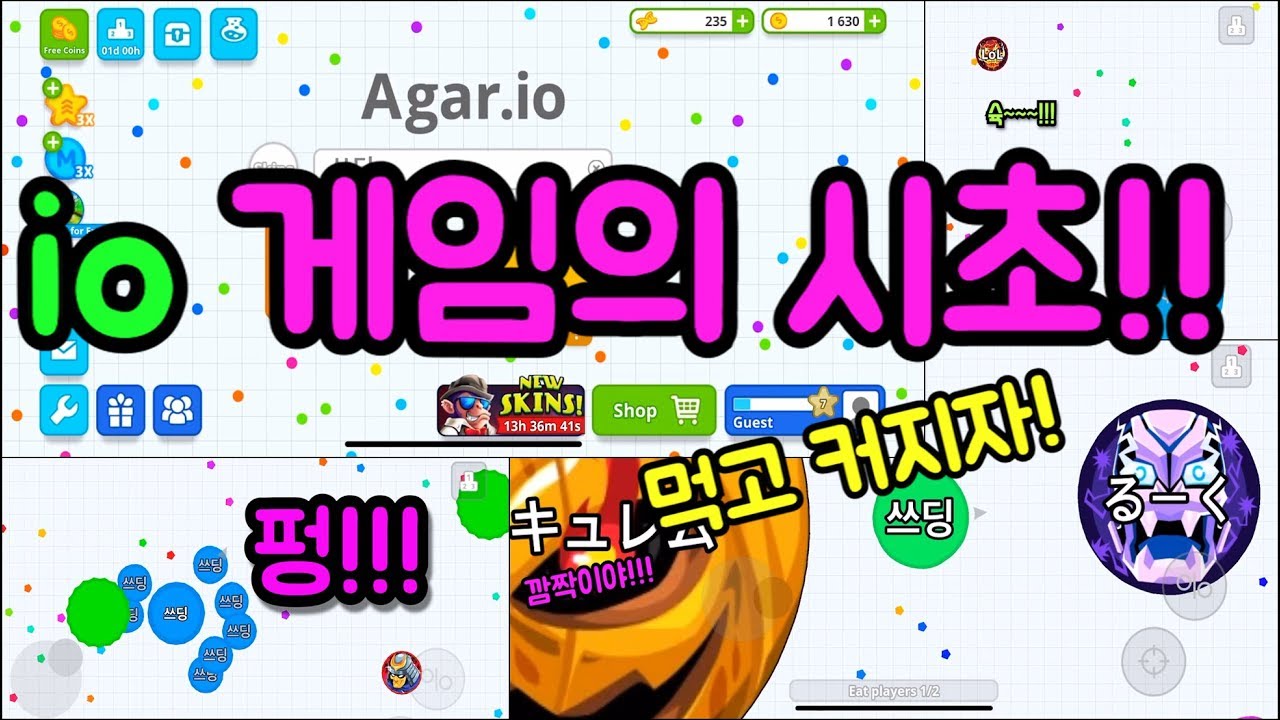 [쓰딩] io게임의 시초!! Agar.io !!