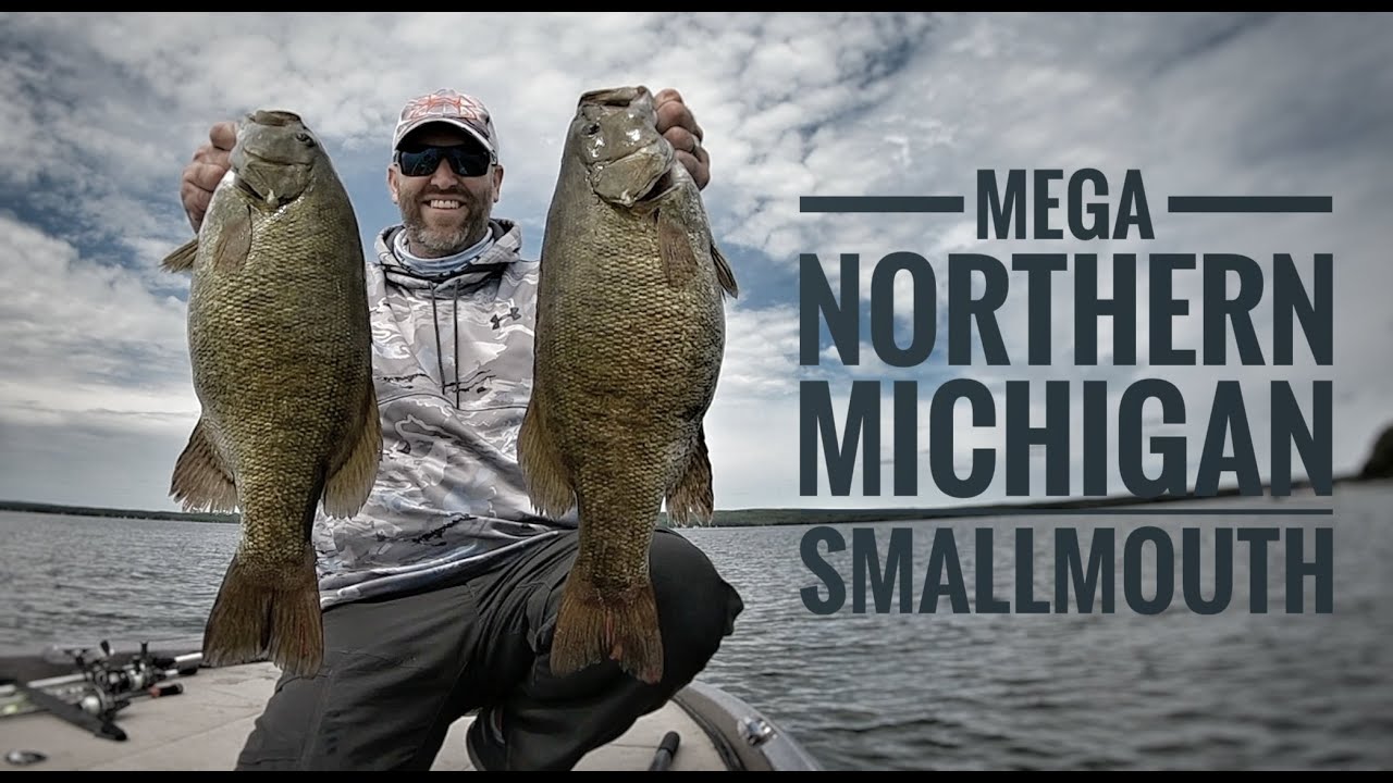 Crushing MEGA Northern Michigan Smallmouth - Early June