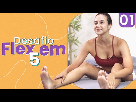 Desafio Flex em 5: Flexibilidade do Corpo Todo (Alongamento Rápido!)