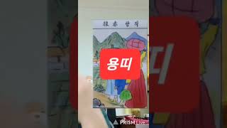 용띠 대박 오늘의운세 2024년2월6일 화요일 재회운/연애운/애정운이 좋은 띠 (용띠) #오늘의운세 #운세 …