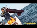 Pesca de Altura PUCUSANA - Calamar Gigante (POTA)