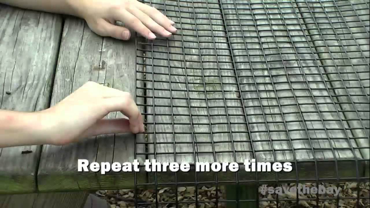 How To Build an Oyster Cage YouTube