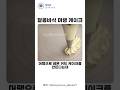 달콤바삭 레몬 커드 머랭 케이크
