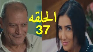 مسلسل لؤلؤ الحلقه 37