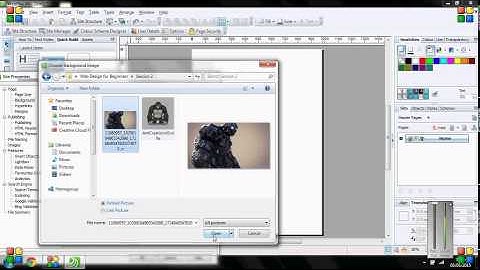 Serif Webplus x6 - Site Properties